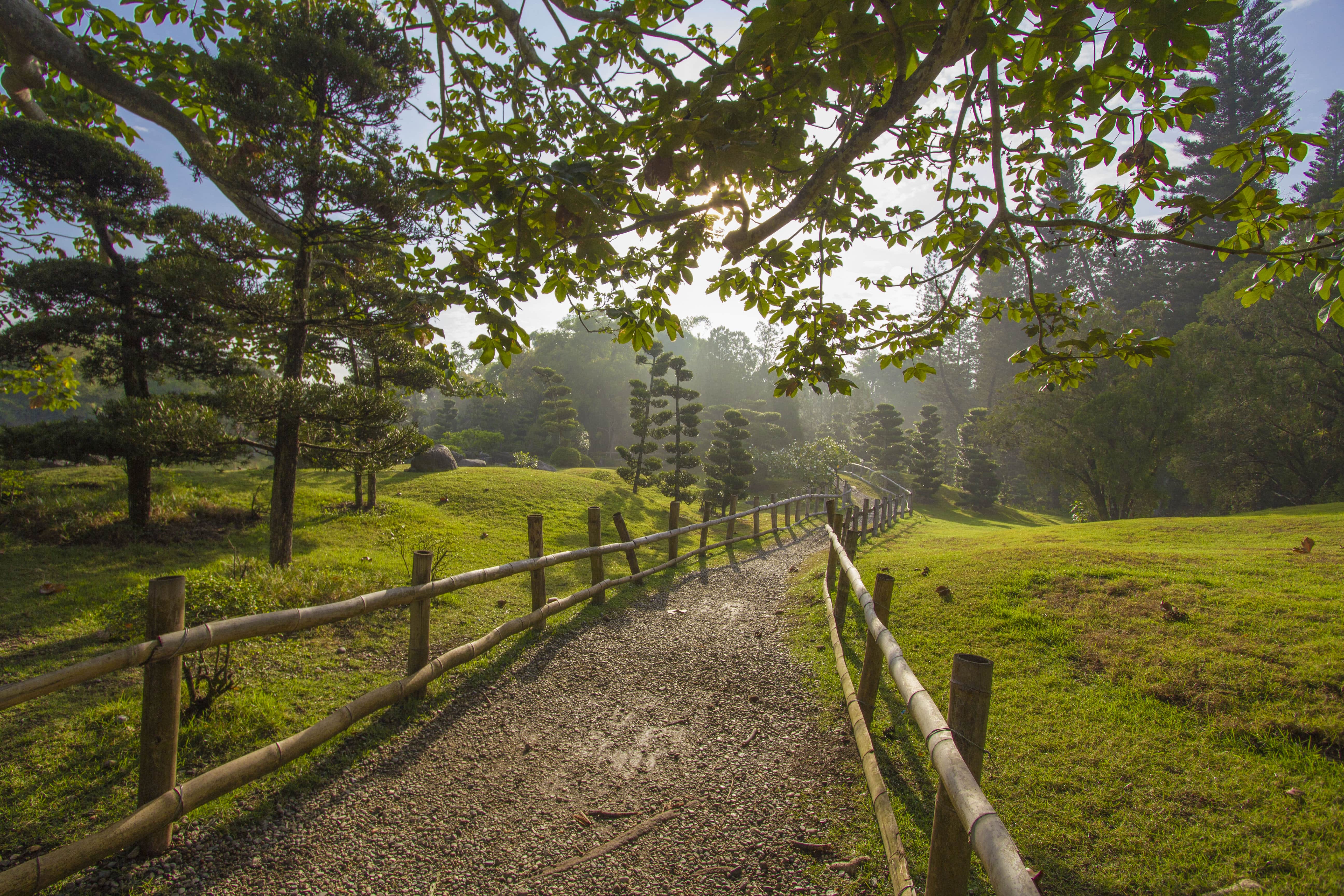 Jardin Botanico1 min