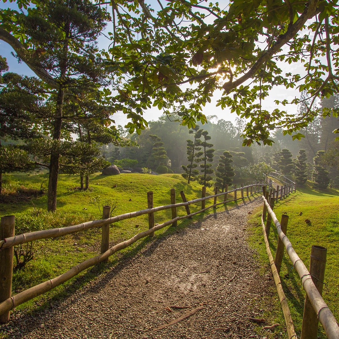 Jardin Botanico3 min