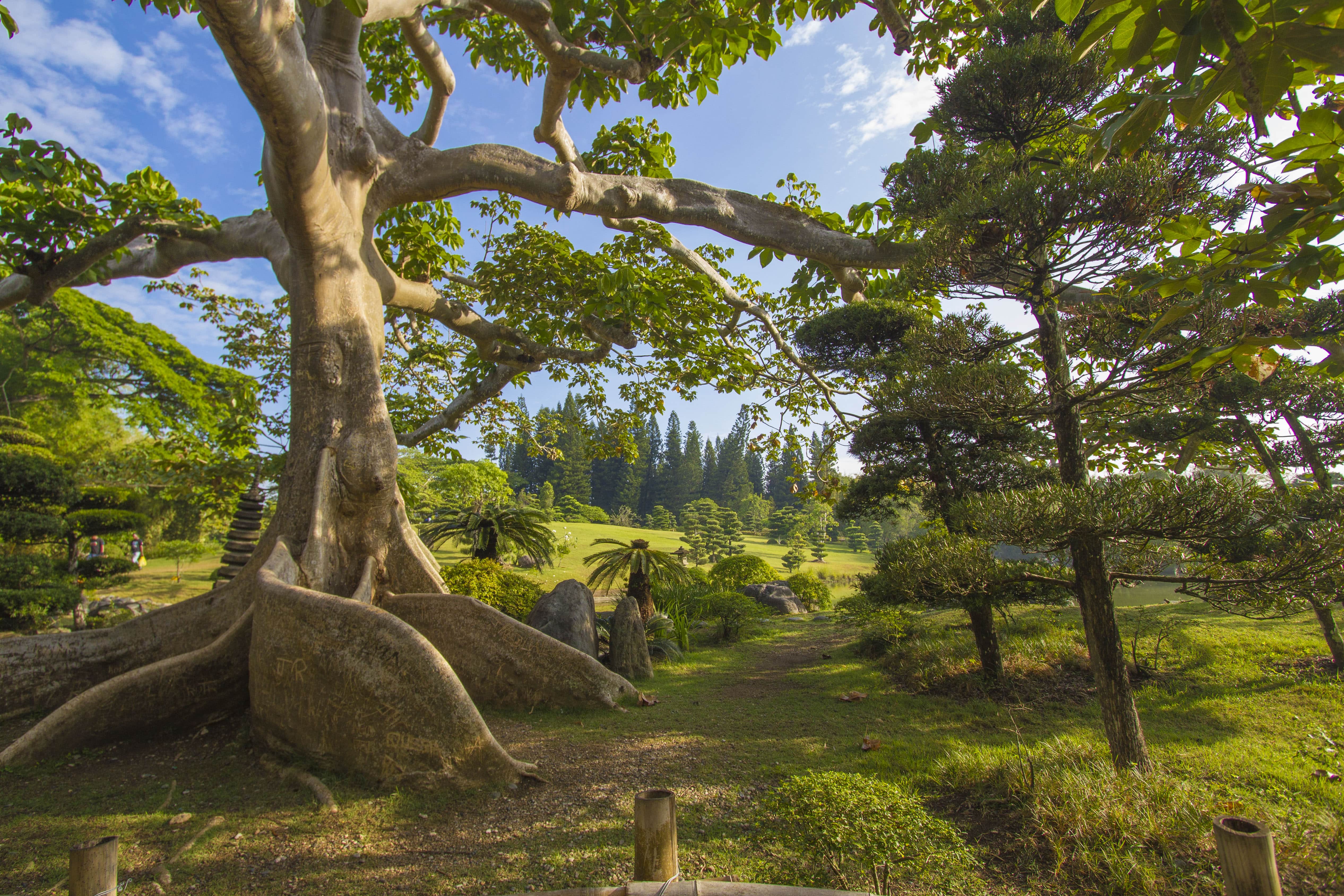 Jardin Botanico8 min