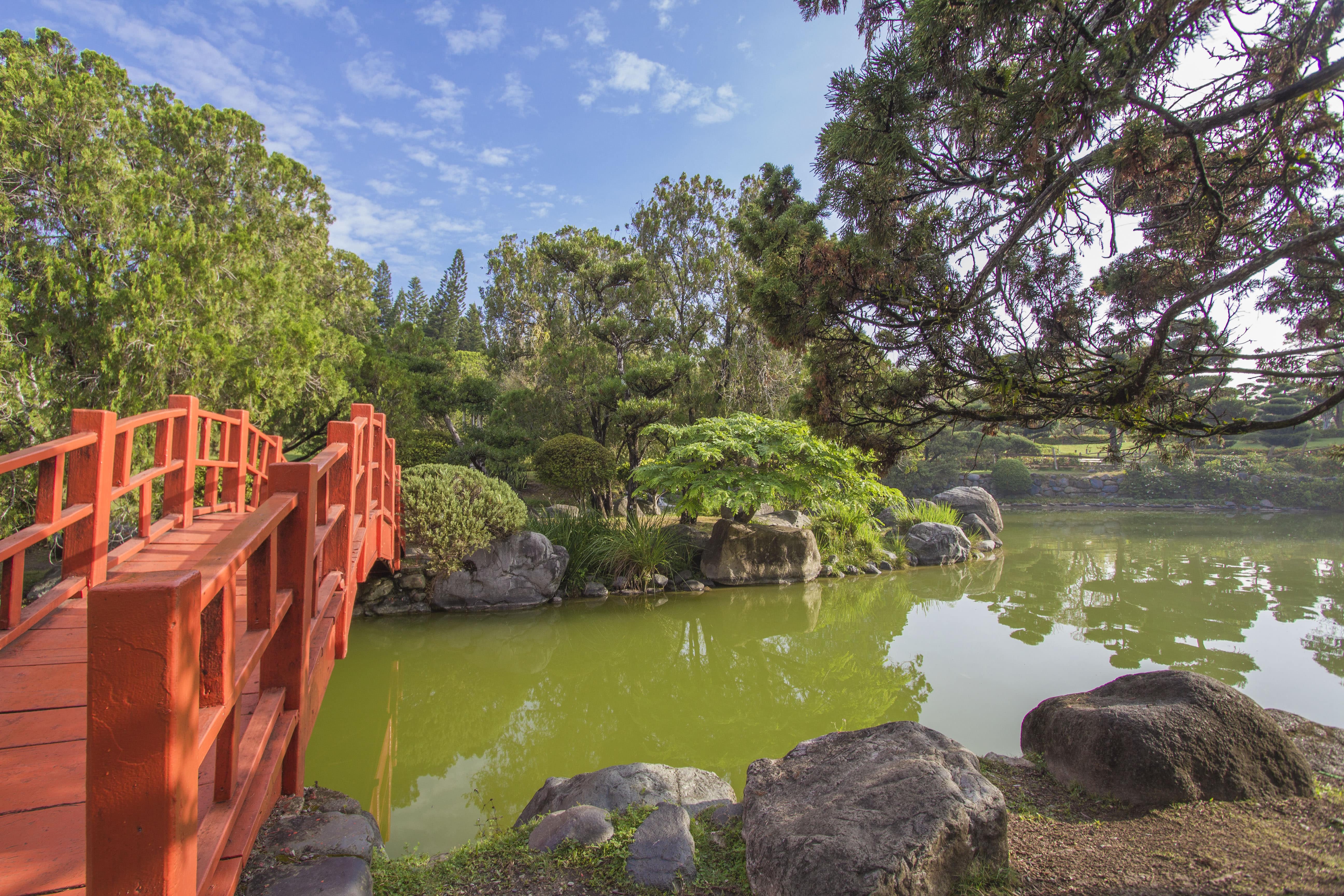 Jardin Botanico9 min