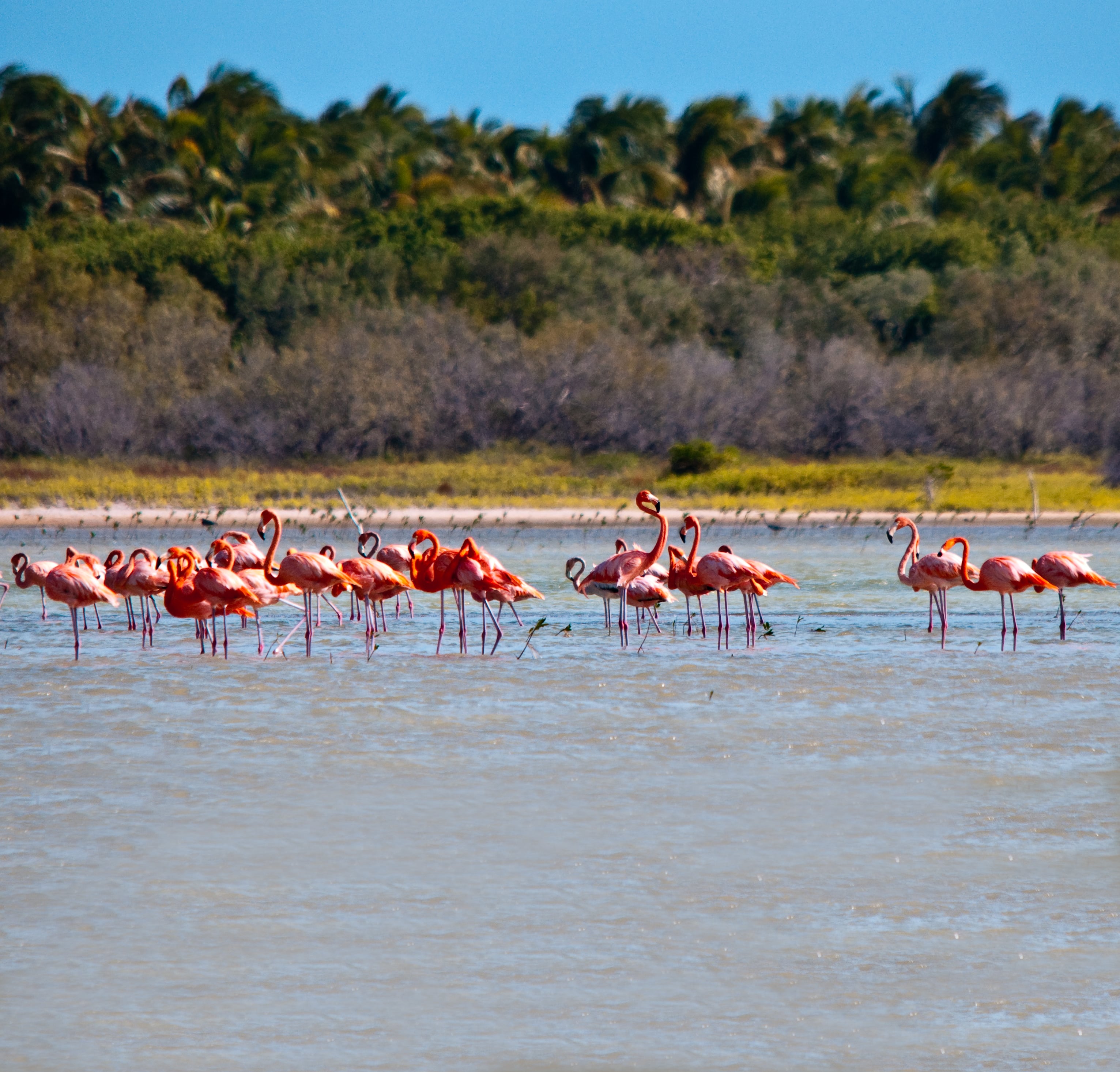 Laguna de Oviedo min
