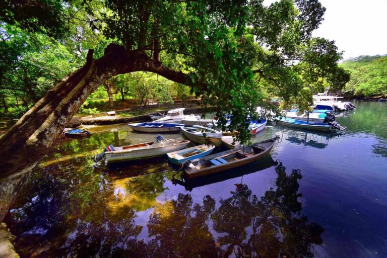 Laguna gri gri 2 768x513