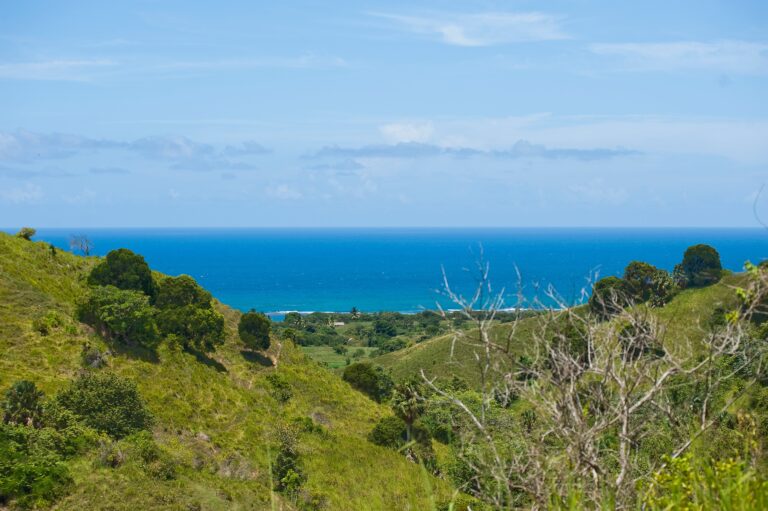 Playa Cambiaso min 768x511