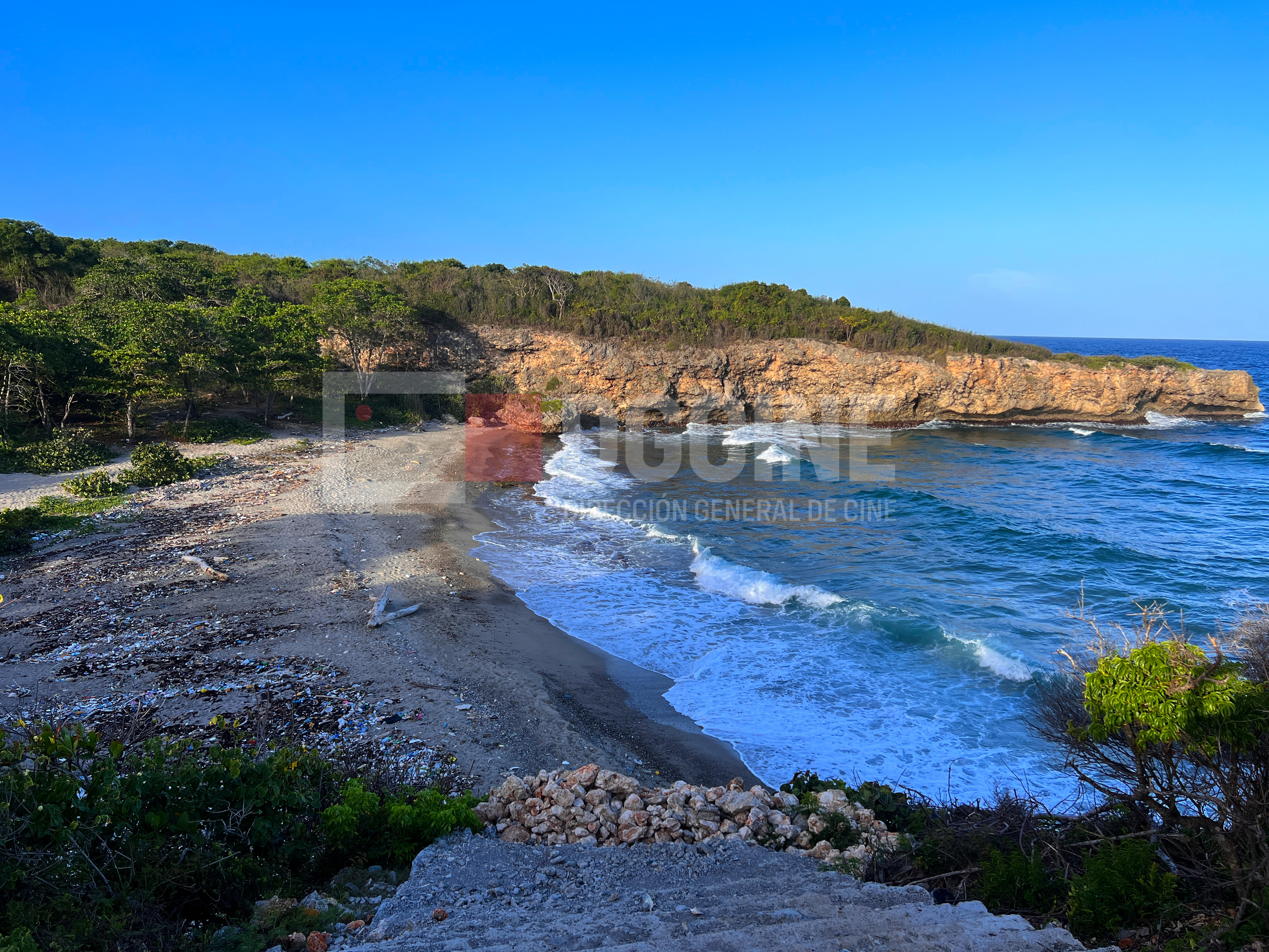 Foto 8 5 23 5 59 30 p.m 1