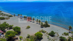 Foto 8 4 23 1 50 46 p.m 1 1 300x169