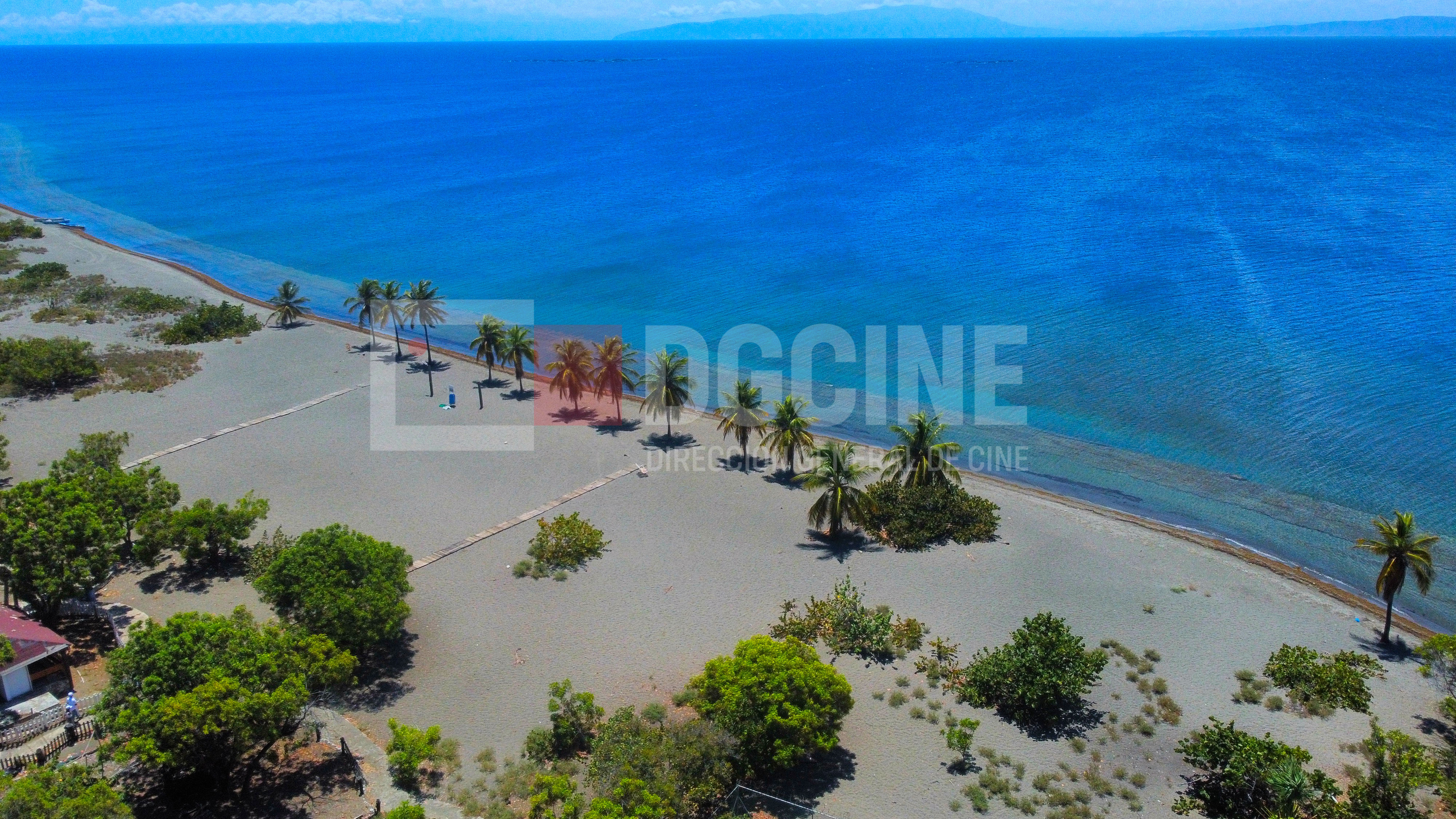 Foto 8 4 23 1 50 46 p.m 1 1