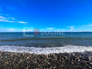 Foto 8 4 23 5 31 33 p.m 1 300x225