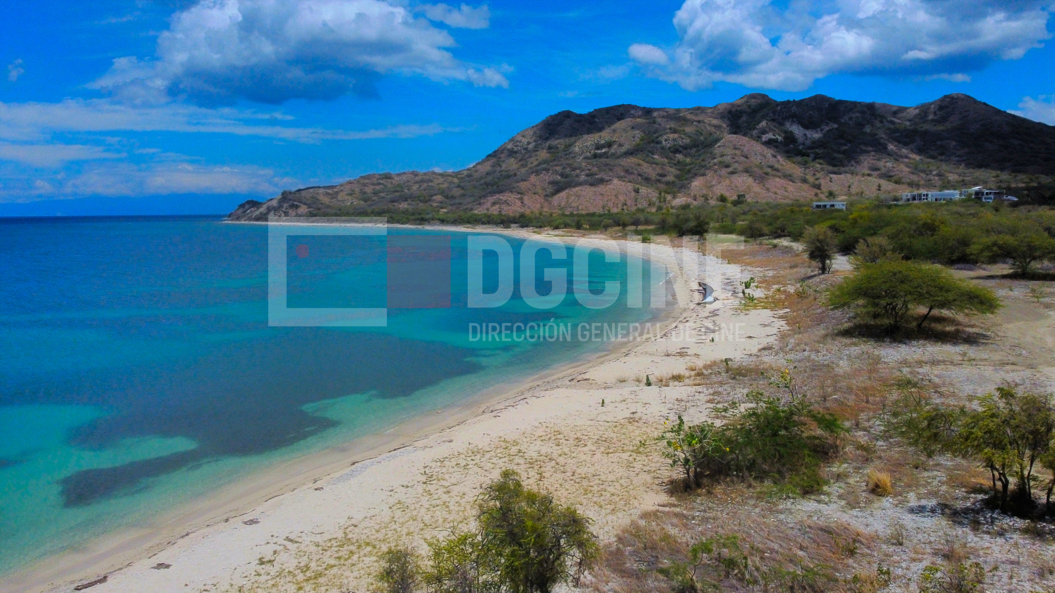 Foto 8 5 23 12 22 49 p.m 1