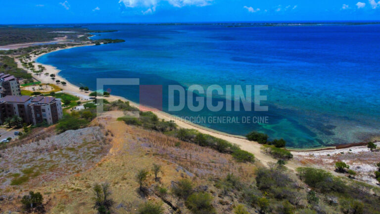 Foto 8 5 23 12 35 48 p.m 1 768x432