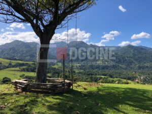 Bonao 4 300x225