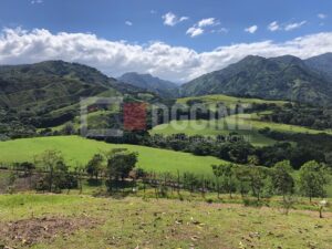 Bonao 8 1 300x225