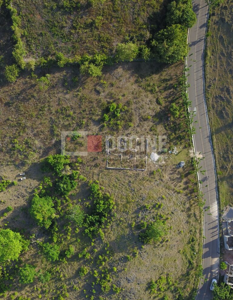 DJI 0013 768x987