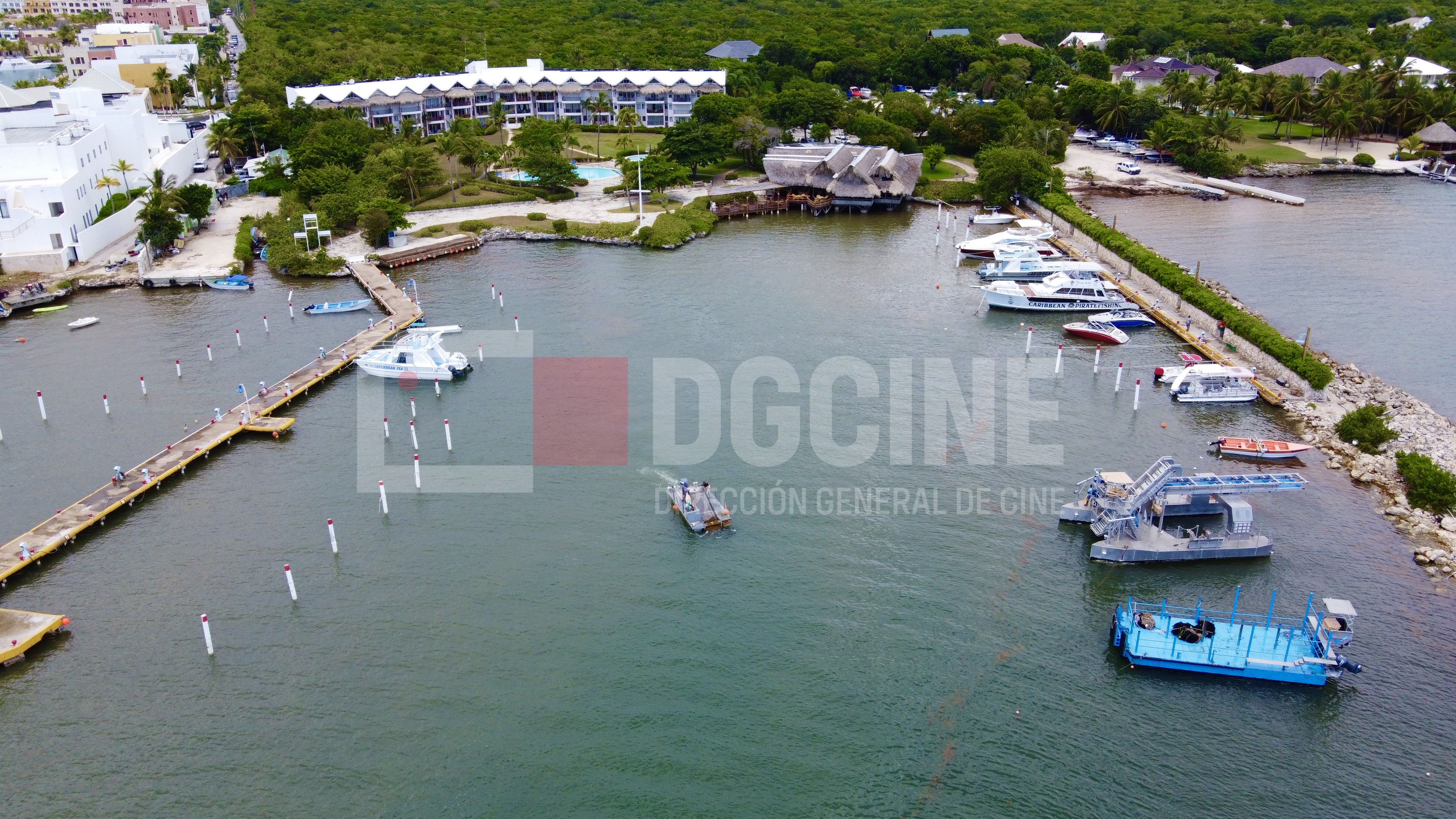 DJI 0265