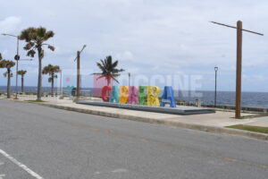 DSC 7790 300x200