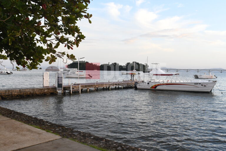 IMG 1551 768x512