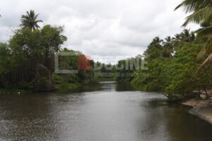 Rio Arroyo Salado 300x200