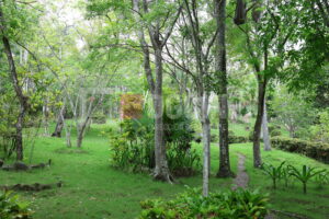 fundejanico 7R6A0461 300x200