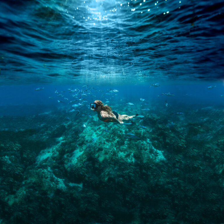 13 Isla Catalina baja 768x768