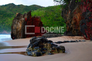 IMG 4774 300x200