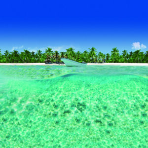 INS15 Isla Catalina 300x300