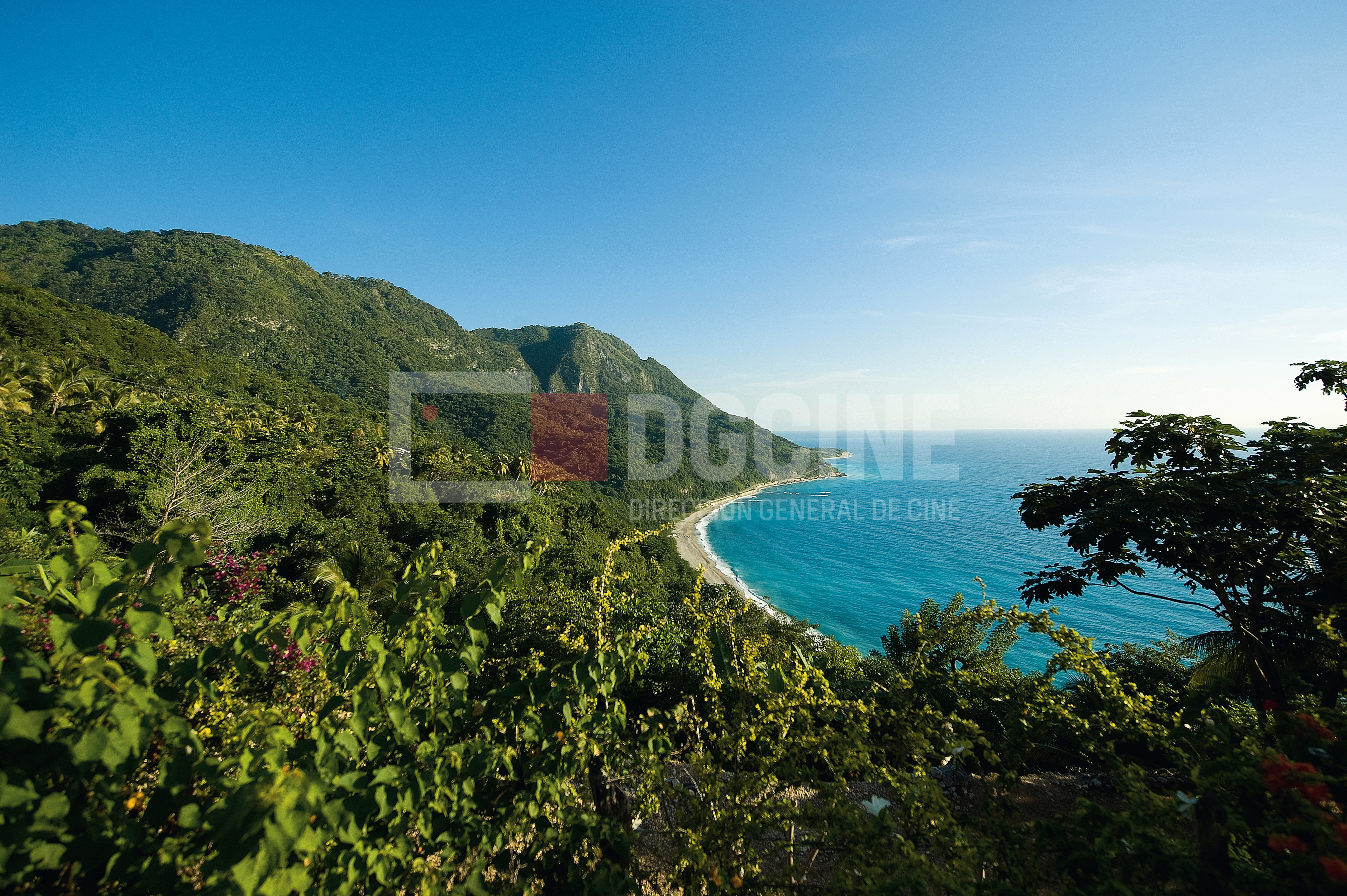 Barahona1