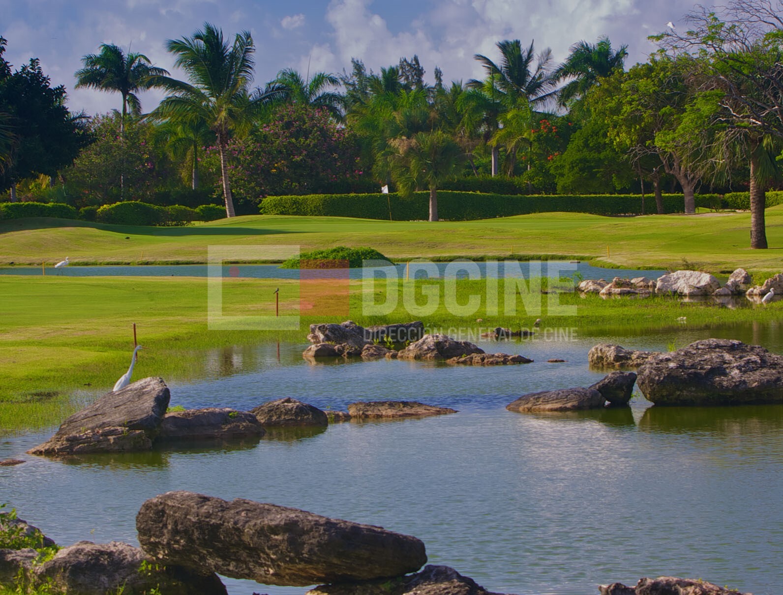 Cocotal Golf   Country Club 2