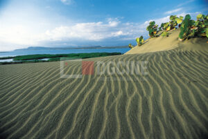 Dunas de Bani3 300x201