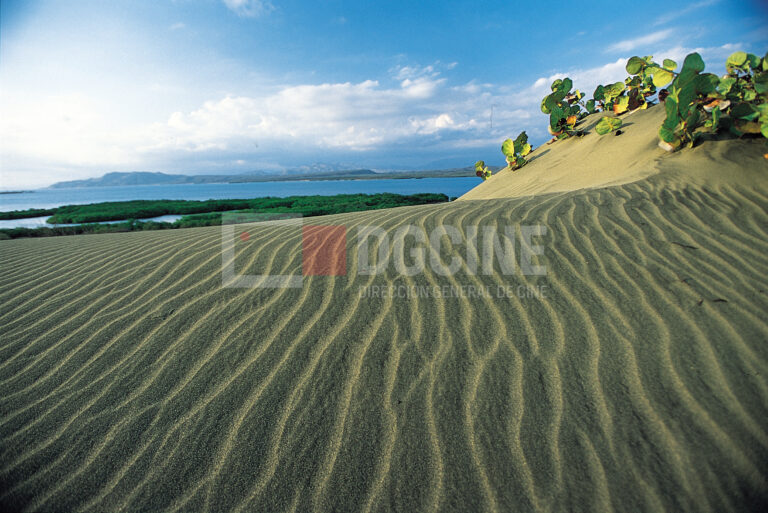 Dunas de Bani3 768x513