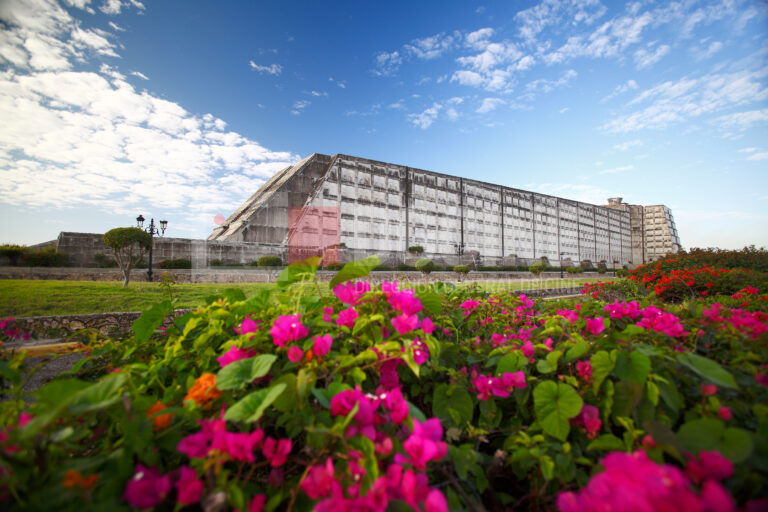 Faro Colon 1 768x512