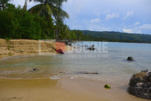 IMG 3761 300x200