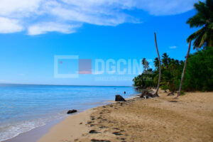 IMG 3762 1 300x200