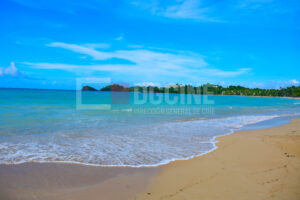 IMG 3767 300x200