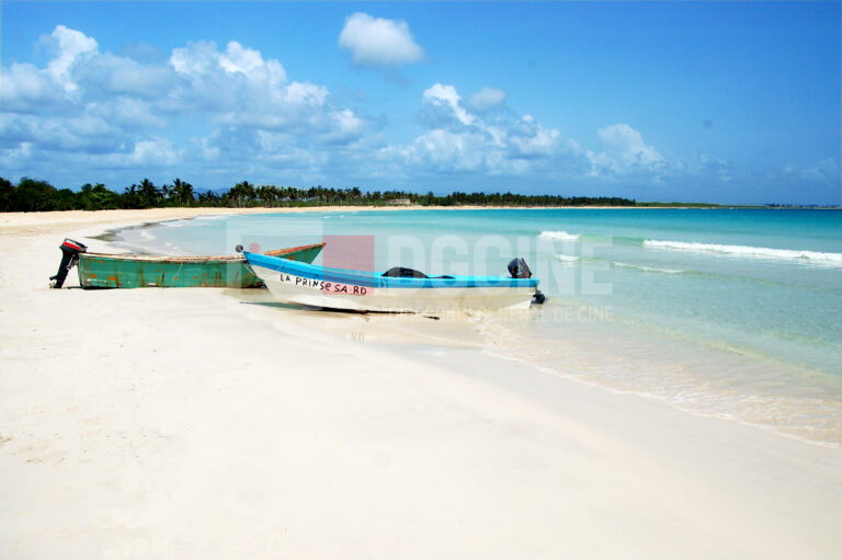 Isla Saona1 1 768x511