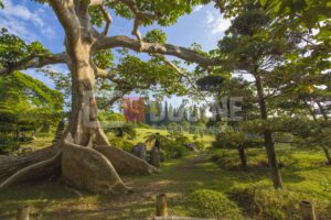 Jardin Botanico 300x200