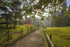 Jardin Botanico1 300x200