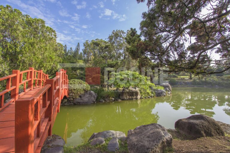Jardin Botanico9  768x512