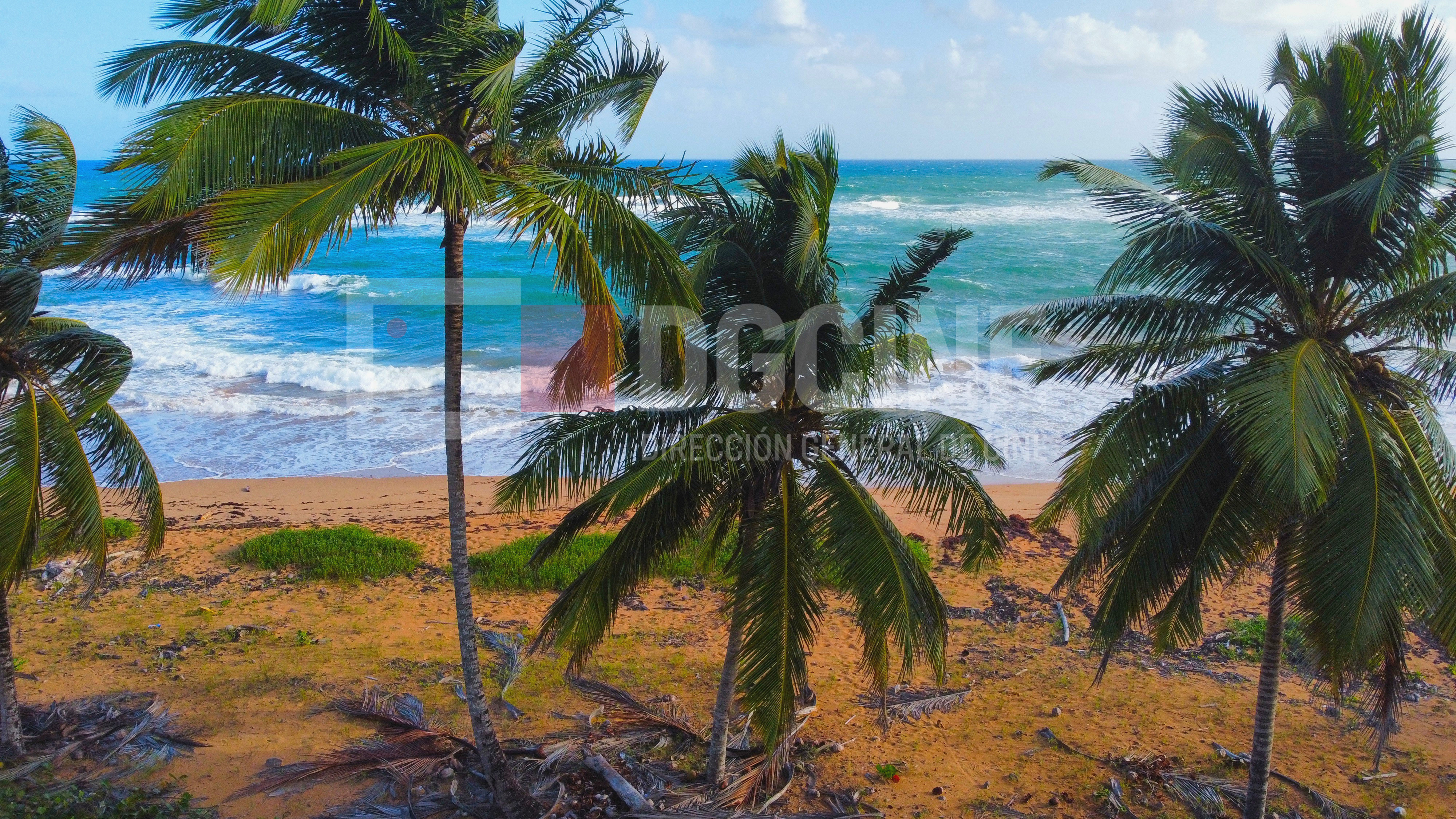 LANZA DEL NORTE BEACH 266