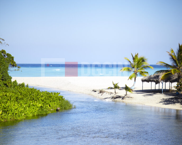 LOS PATOS BARAHONA 1 768x610