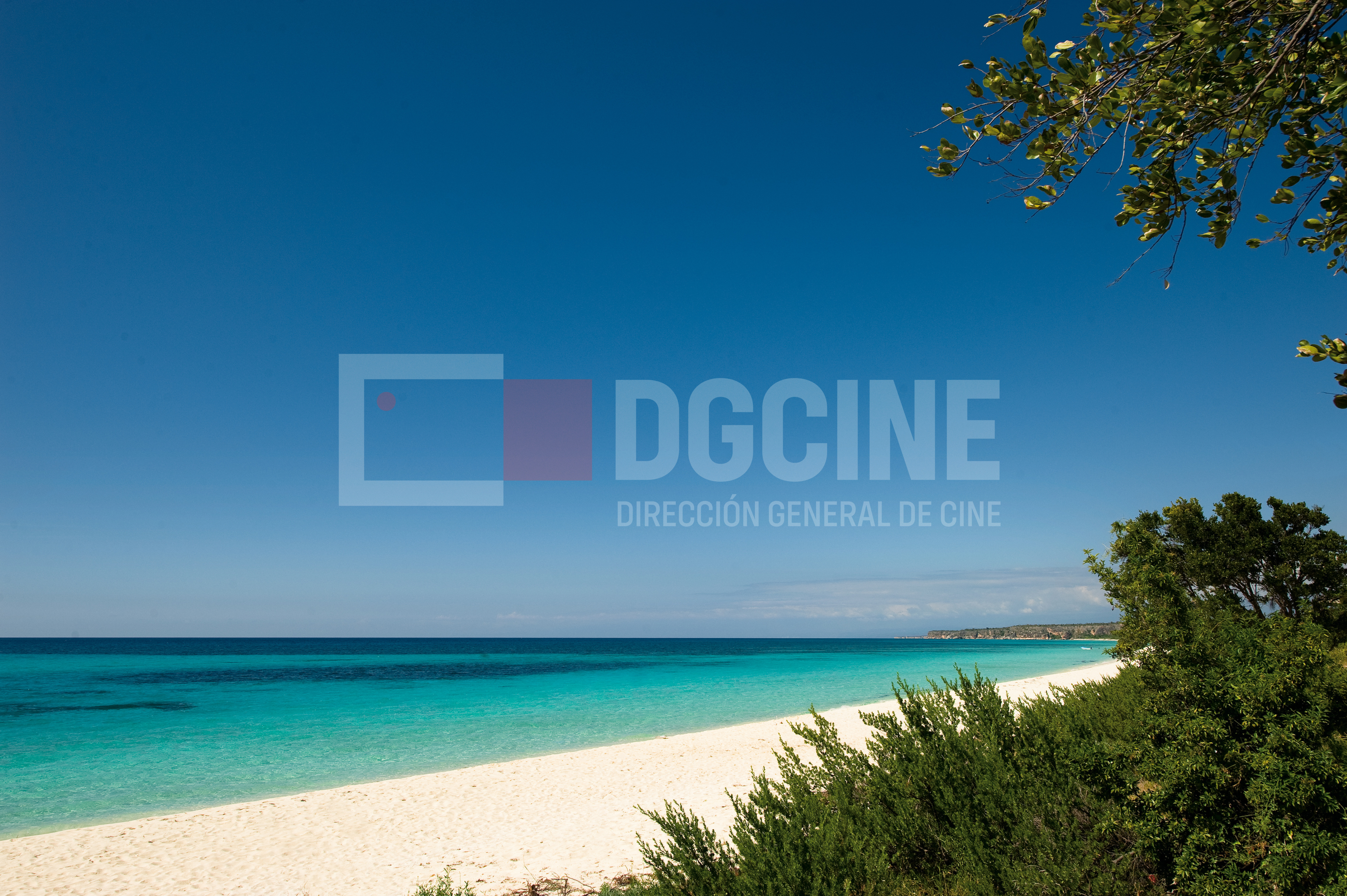 Bahia de Las Aguilas4 1