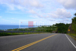 IMG 3738 300x200