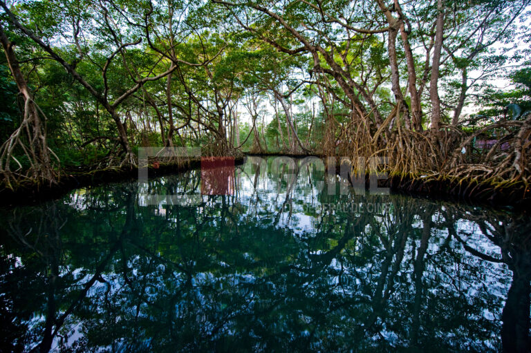 Laguna Gri Gri 3 768x511