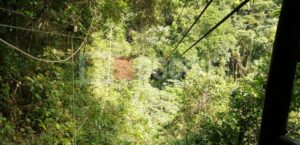 IMG 20201104 104706 300x145