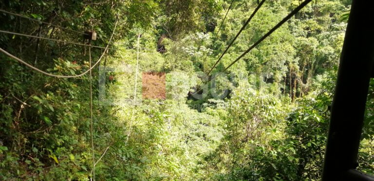 IMG 20201104 104706 768x371