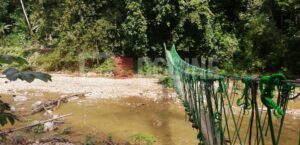 IMG 20201104 112343 300x145