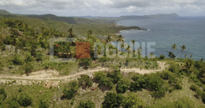 Captura de Pantalla 2025 07 16 a las 12.14.31 p. m. 1 300x158