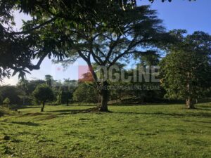 Las Terrenas Lomas 24 1 300x225