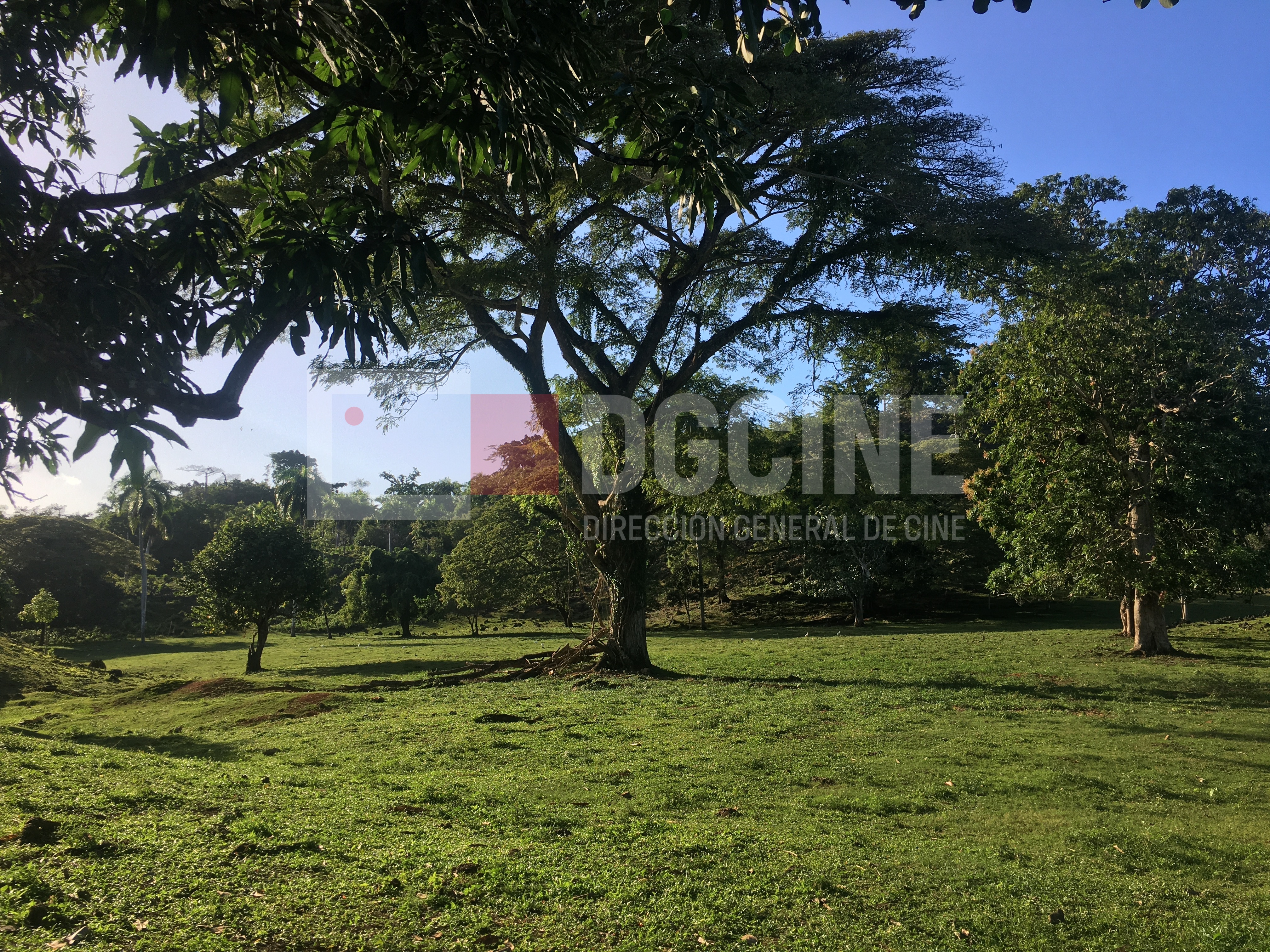 Las Terrenas Lomas 24 1