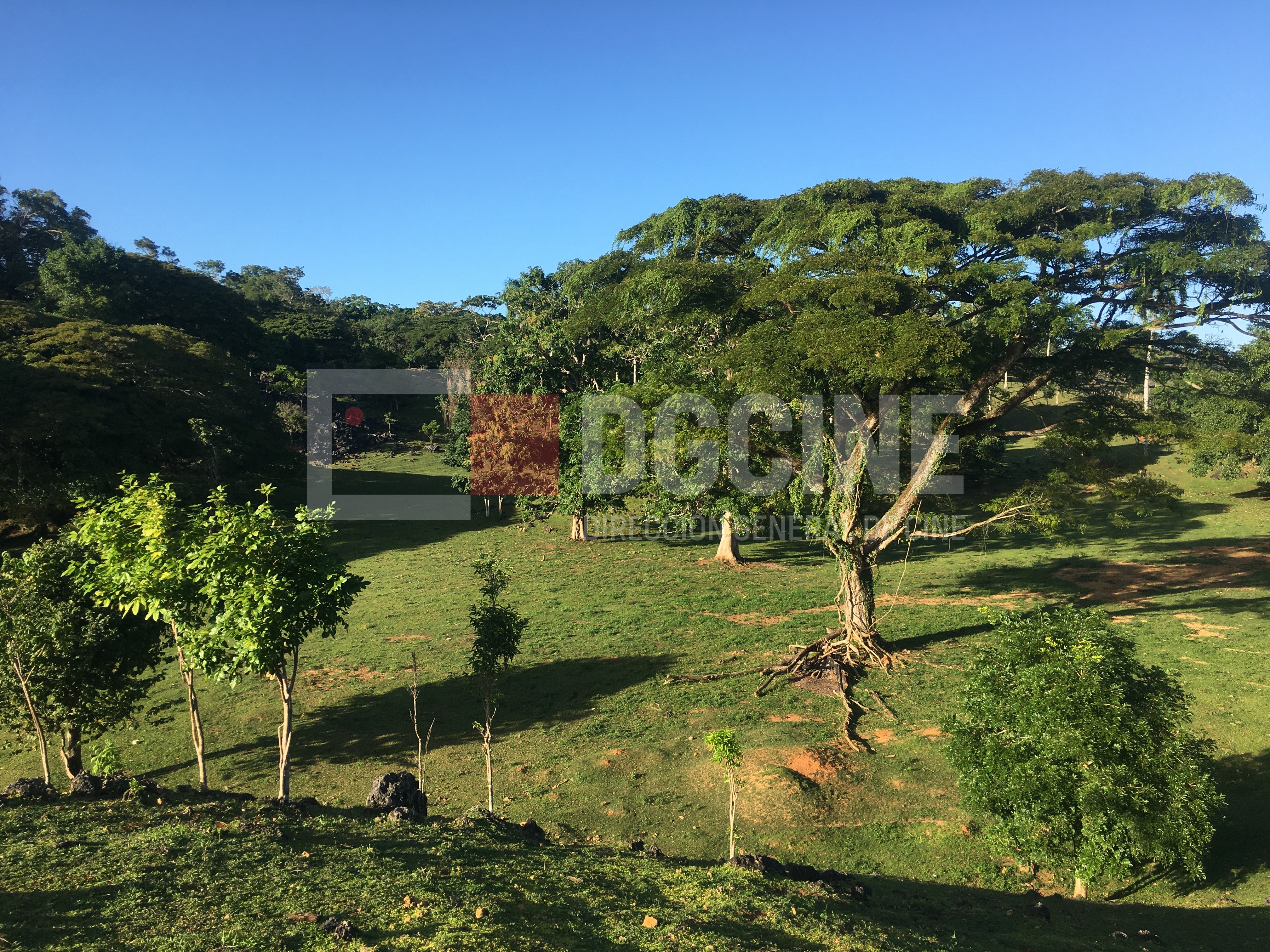 Las Terrenas Lomas 27 1