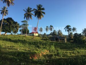 Las Terrenas Lomas 40 2 300x225