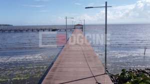 Captura de Pantalla 2025 11 29 a las 8.52.07 a. m 300x169